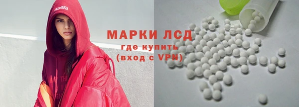 стафф Алзамай