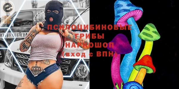 стафф Алзамай