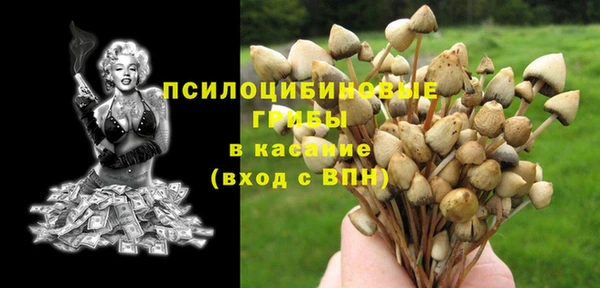 mix Алексин