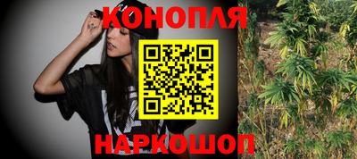 прущие грибы Конаково