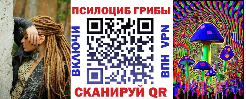 Псилоцибиновые грибы мицелий  что такое наркотик  OMG ссылка  Тайшет 