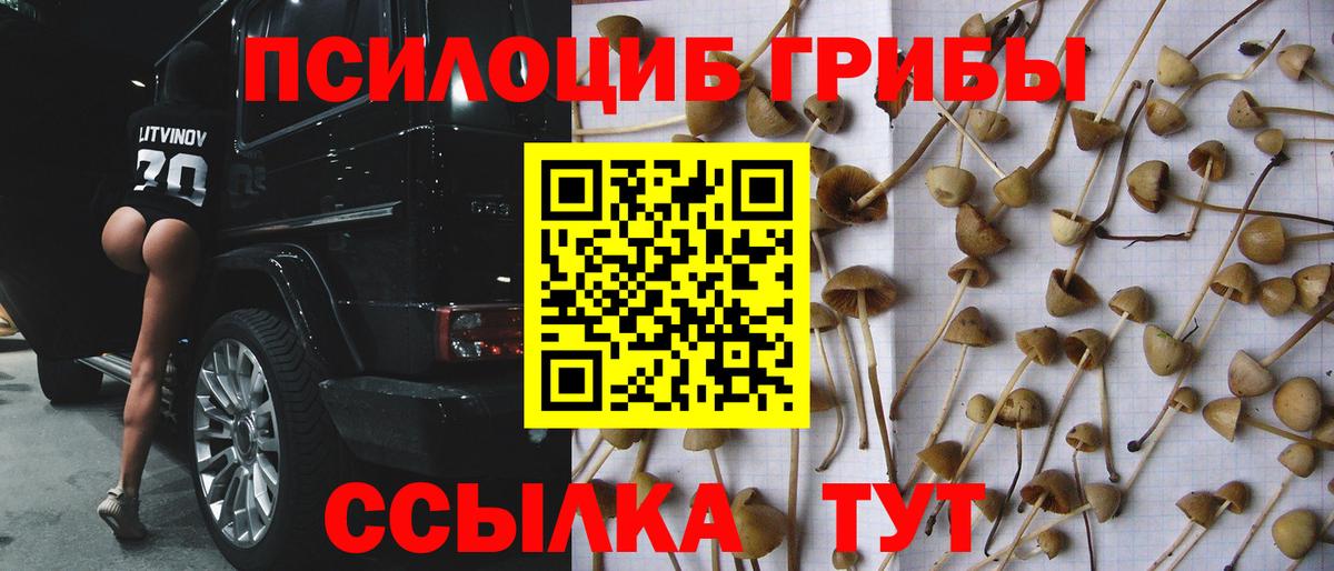 Галлюциногенные грибы Magic Shrooms  Вход с VPN  закладки  Тайшет 